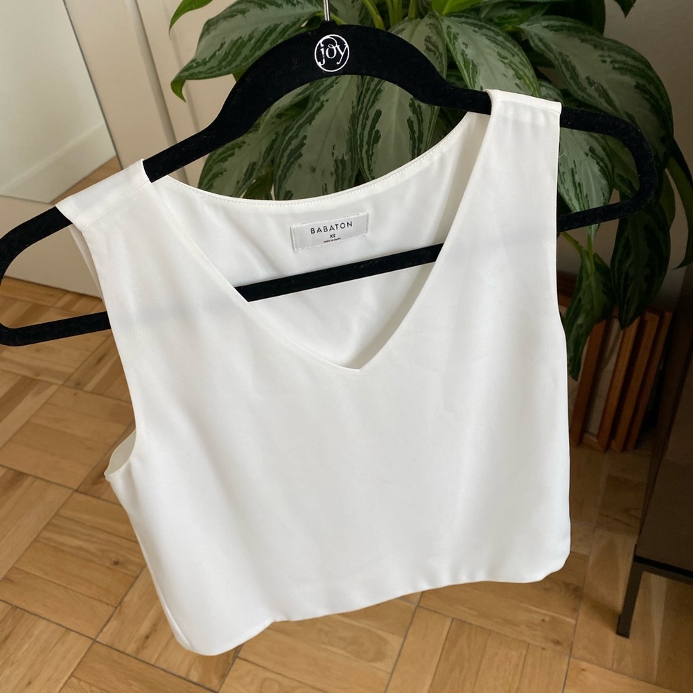 Aritzia Babaton Cream Blouse